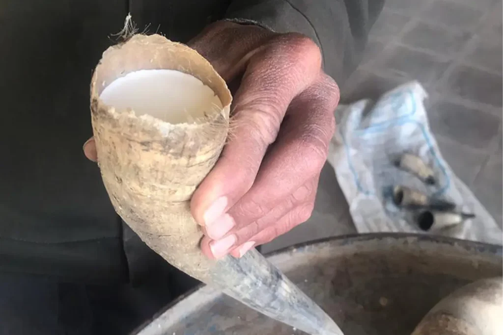 برگزاری کارگاه کشاورزی بیودینامیک